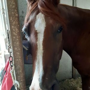 Meet your Posher, Lynne